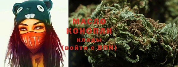 шишки Сосновый Бор