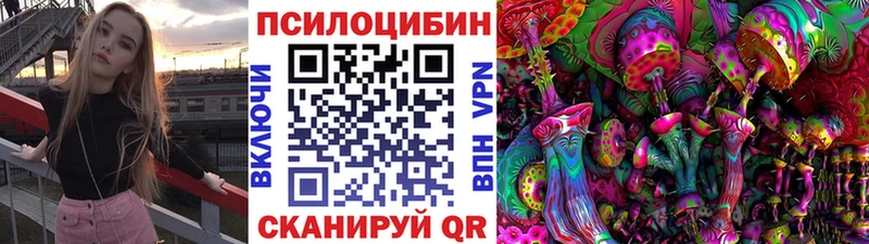 Галлюциногенные грибы Cubensis  цена наркотик  Белая Холуница 